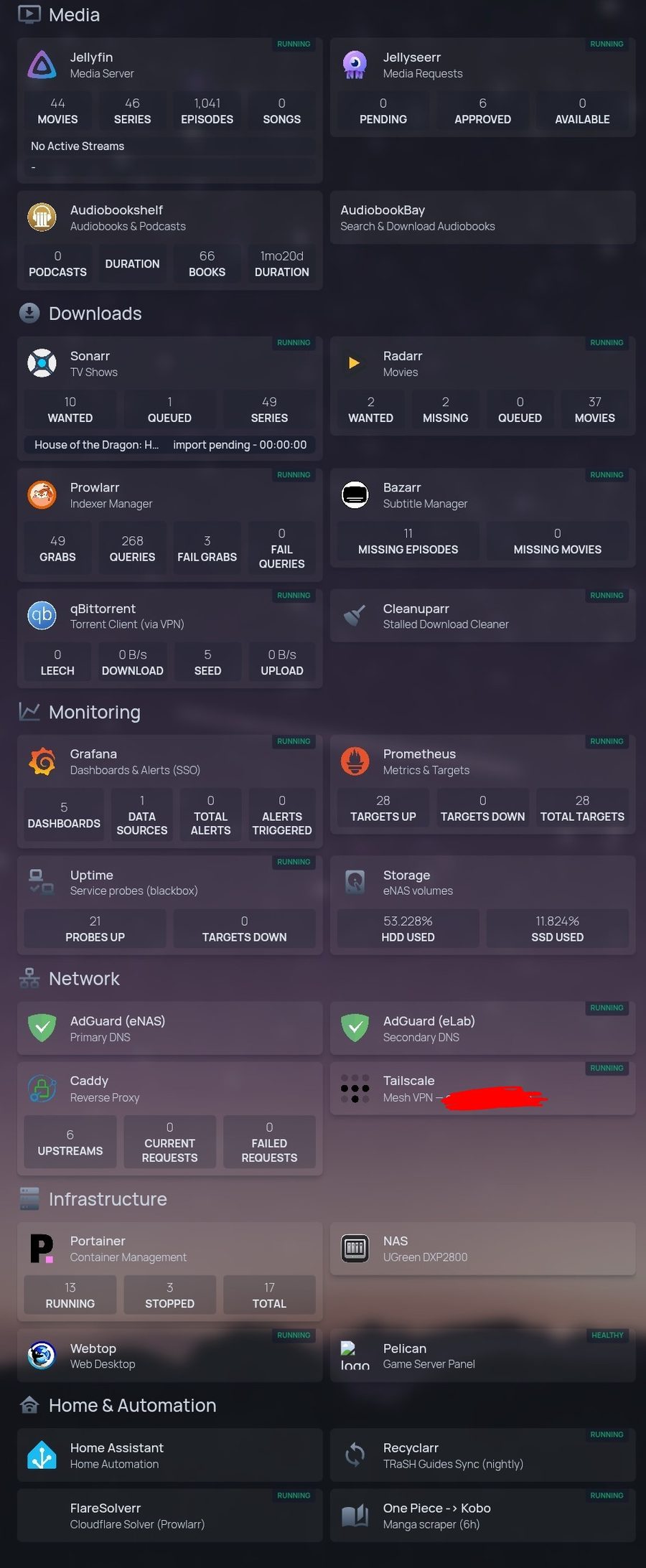 A self-hosted dashboard showing service cards grouped into Media, Downloads, Monitoring, Network, Infrastructure and Home & Automation. Each card shows live stats: library counts, download queue, probe results, disk usage and container counts.